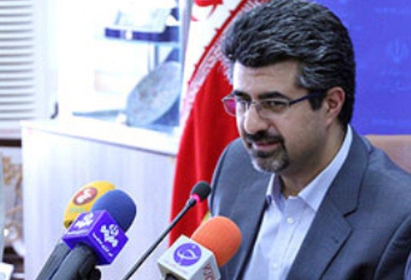 ۱۴۰ شرکت دانش بنیان در حوزه سلول‌های بنیادی فعالیت می کنند