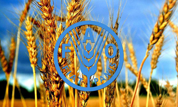 فائو درباره تاثیر مخرب کرونا بر اقشار آسیب پذیر هشدار داد
