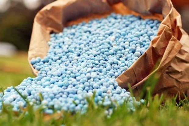 تامین نهاده های تولید اولویت مهم وزارت جهاد کشاورزی است