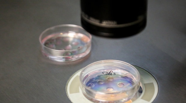 مقالات محقق پژوهشگاه رویان پرخواننده ترین شد