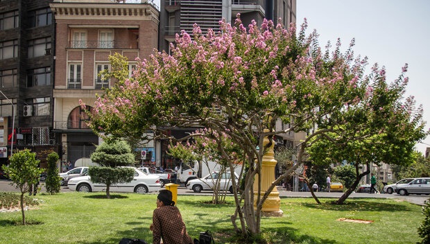 کیفیت قابل قبول هوای پایتخت
