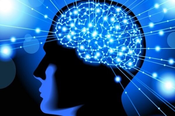 ۴ طرح تحقیقاتی علوم شناختی بین مراکز علمی ایران و چین اجرا می شود