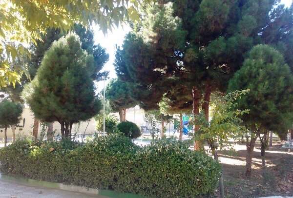 ضرورت تمرکز مدیریت بوستان‌های جنگلی