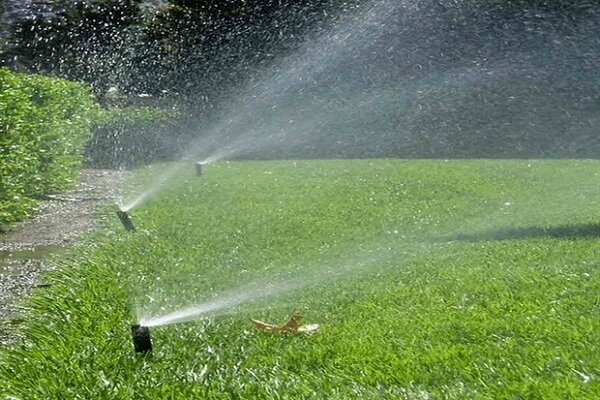 فضای سبز در شمال تهران ‌۶ هزار متر مربع توسعه یافت