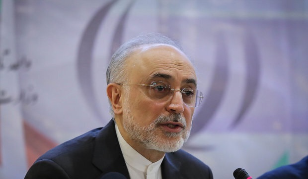 صالحی: علت قطعی حادثه نطنز به زودی اعلام می شود