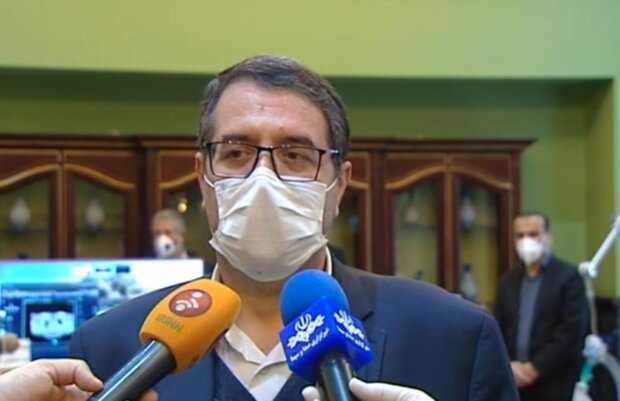عملکرد مثبت بخش بازرگانی وزارت صمت در حفظ آرامش بازار مشهود است