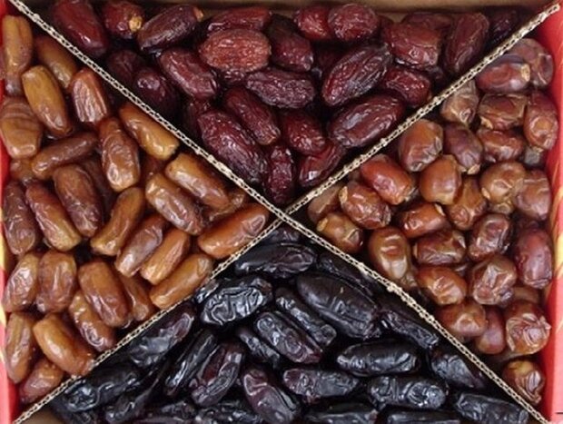 عرضه مستقیم و توزیع ۱۵۰۰ تن خرما در ماه رمضان