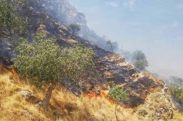 تجزیه زباله های پلاستیکی با نور آفتاب از علل آتش سوزی درمراتع است