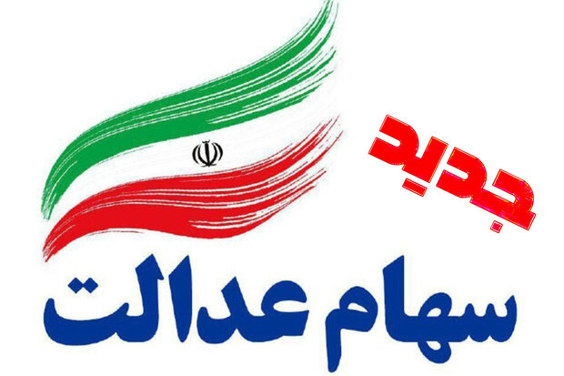 معاون وزارت اقتصاد: مجلس سهام عدالت جدید را تصویب کند اجرا می‌کنیم