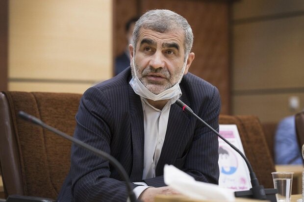 نیکزاد: دولت لایحه بودجه را اصلاح کند