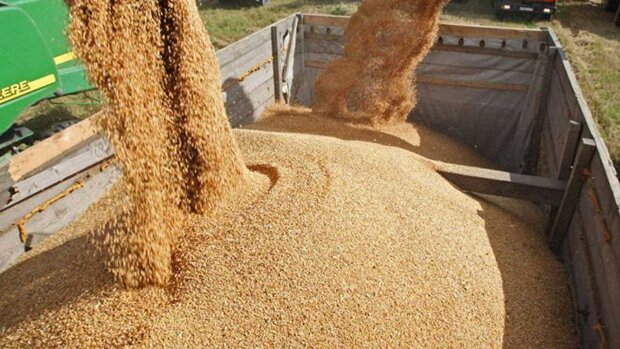 اشکالات سیستم توزیع هزینه واردات کالاهای اساسی را افزایش می دهد
