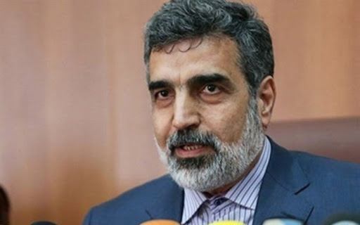۲ دستگاه تشخیص کرونا از آژانس تحویل گرفته‌ایم